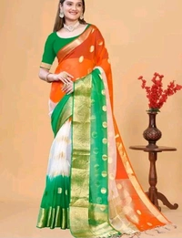Orgenza Zari Border Tiranga Saree | Republic day Saree