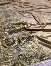 Beautiful Gold Embrodered Saree Partywear Weeding With Running Blouse