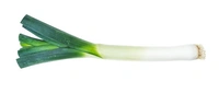 SPRING ONION (हरा प्याज ) - 2 KG