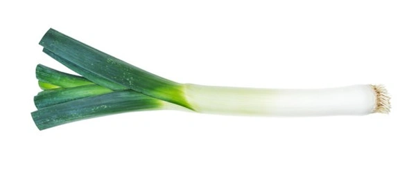 SPRING ONION (हरा प्याज ) - 2 KG