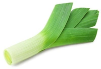SPRING ONION (हरा प्याज ) - 2 KG