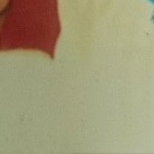 Par Day Tipin Booking