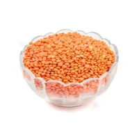Red Lentil ( मसूर दाल ) - 1 KG