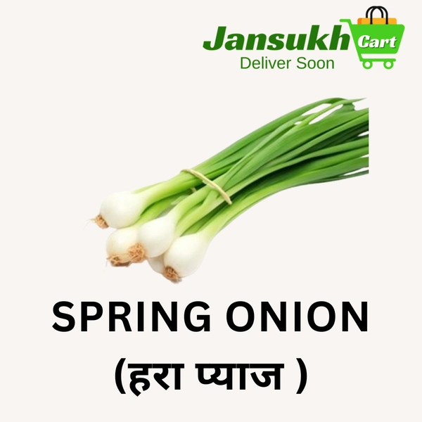 SPRING ONION (हरा प्याज ) - 2 KG