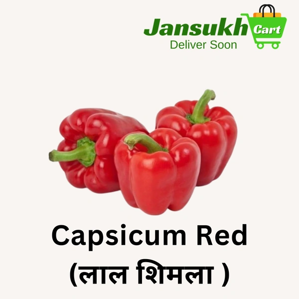 Capsicum Red (लाल शिमला ) - 3 KG
