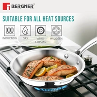 bergner tri-ply argent frypan - No 2