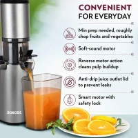 Borosil Smart juicer Cold Press Slow Juicer