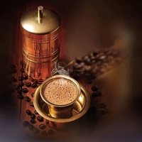 fawn green brass coffee filter no 3 350ml