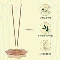 cycle yagna natural incense 30N