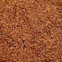 udhayam nutricare rakthashali rice 500g - 500g