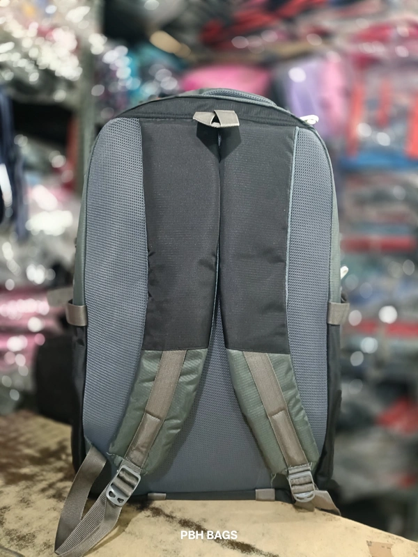 PBH P062 22*14*10 Multiple Zips 25 liters Padded Travel Backpack - 22*14*10, Marshland