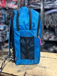 Skybags PBH P0221 18*14*8 Skybags Backpacks - Lochinvar, 18*14*8