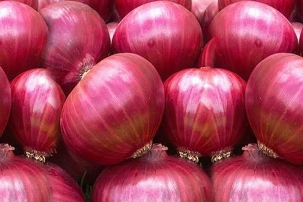 Onion : 5kg