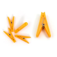 6136 12 Pc Set Cloth Clip used in all kinds of household and official places for holding cloths and stuffs purposes. - India, 0.132 kgs