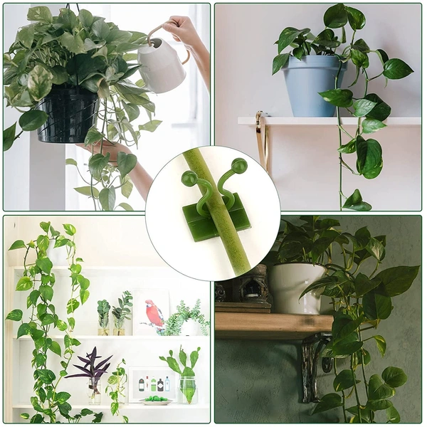 6156A 30pcs wall Plant Climbing Clip widely used for holding plants and poultry purposes and all. - 0.119 kgs, China