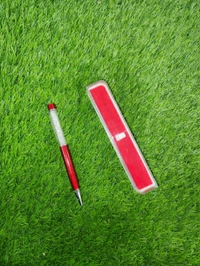 Metal Pen - 03 - Regular Price