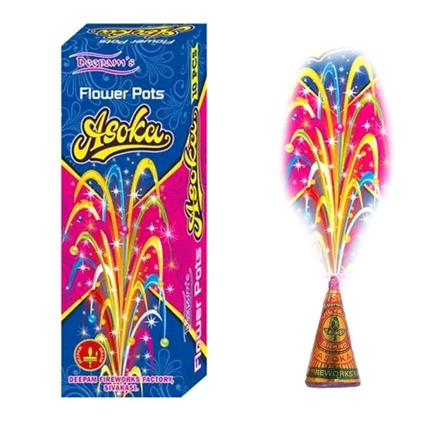 FLOWER POT ASHOKA