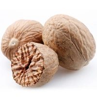 Kerala Nutmeg (ജാതിക്ക) - 50gm