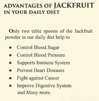 Jack Fruit Chips - 1Kg