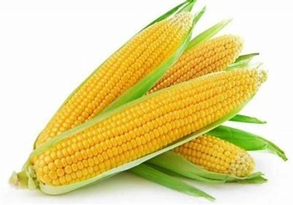 Sweet Corn / Makka - (2piece)