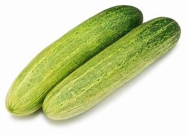 Green Cucumber (हरा खीरा) – - (500gm)