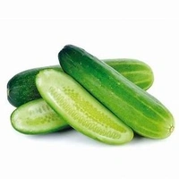 Green Cucumber (हरा खीरा) – - (500gm)