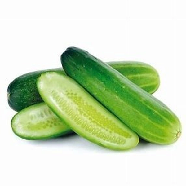 Green Cucumber (हरा खीरा) – - (500gm)
