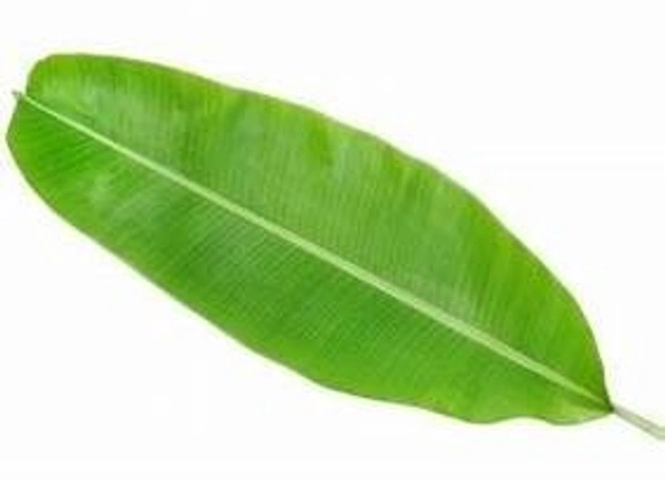 Banana Leaf - Kela Patta - Kelache Patte - (5 Leaf)