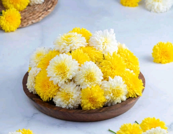 Shevanti Mix- Chrysanthemum, Mix - शेवंती फूल (Shevanti Phool) - (250g)