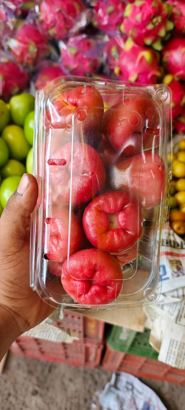 Rose Apple (Jambu / Gulab Jamun / Jamb / Golap Jamb) - (Approx 500gm-700gm)