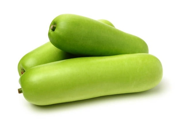 Bottle Gourd (Dudhi / Lauki ) β - 1pc( Approx. 500gm-700gm)