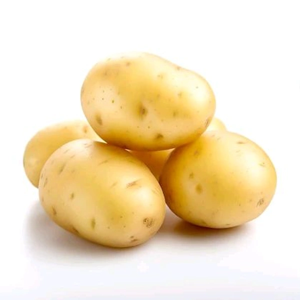 Potato