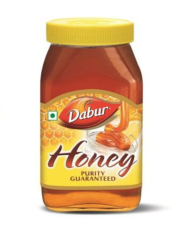 Dabur Honey 500ml