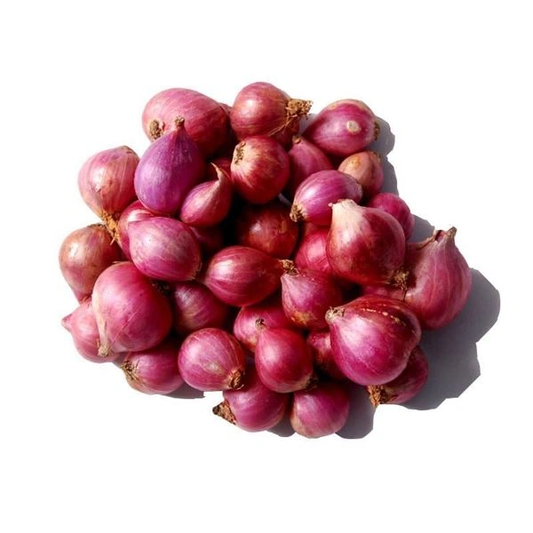 SMALL ONION 1KG