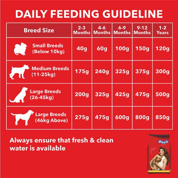 DROOLS PUPPY CHICKEN AND EGG 400G