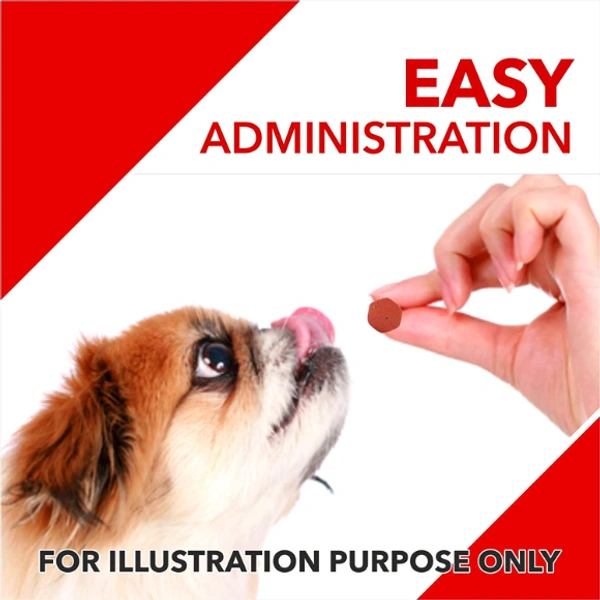 DROOLS ABSOLUTE CALCIUM 50 TABLETS