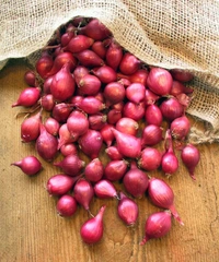 SMALL ONION 1KG