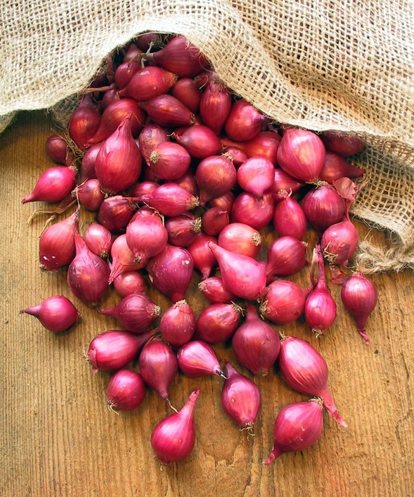 SMALL ONION 1KG