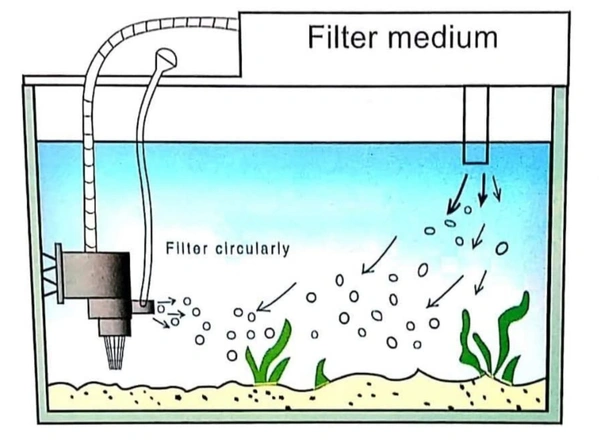 SOBO Top Filter WP-1880F For Aquarium |25 Watt, 880L/H|Free 1 Feet White Sponge - WP-1880F/25W