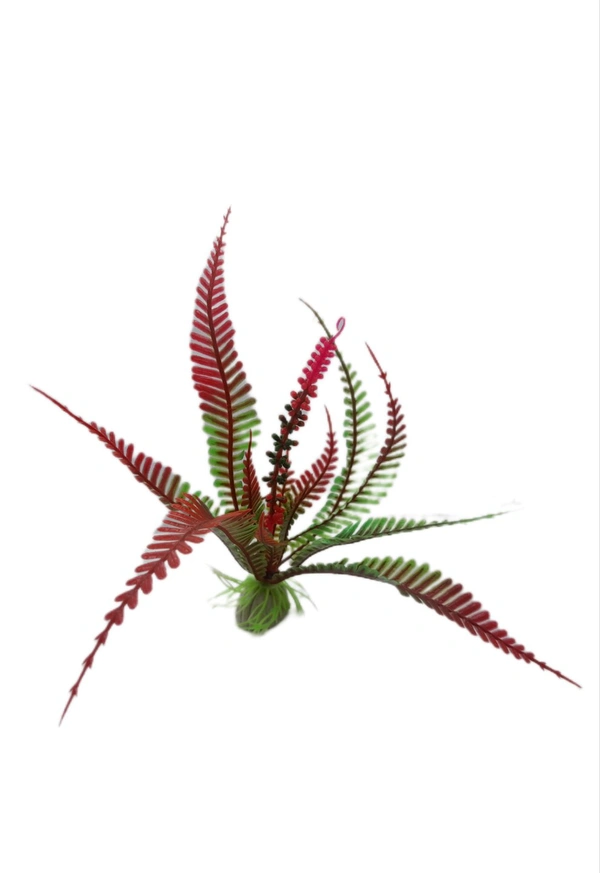 Artificial Plastic Plant| 6 Inch Height| Fern Type - Red-Green, 6 Inch
