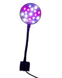 Multicolor Mini LED Clip Lamp|7 Watt - 7 Inch RGB