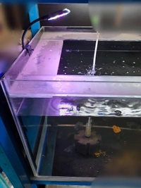 Multicolor Mini LED Clip Lamp|7 Watt - 7 Inch RGB