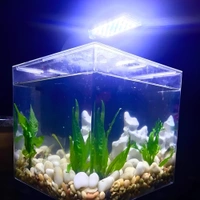 X 5 Light For Planted Aquarium|10 Watt - X-5/10 W