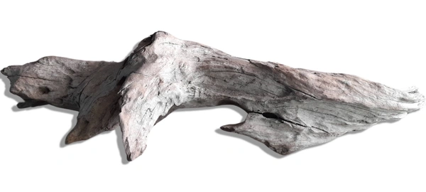 Natural 'Drift Wood' For Decor- Aquarium, Terrarium, Home & Garden etc. - Approx: 1877 Gm