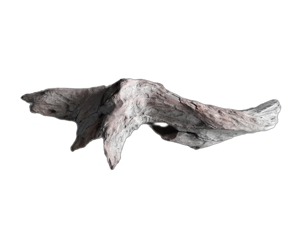 Natural 'Drift Wood' For Decor- Aquarium, Terrarium, Home & Garden etc. - Approx: 1877 Gm