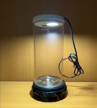 Blue Pet BluePet TP 10 Mini Aquarium – High Definition 4K Transparent Fish Tank with LED Light - TP 10