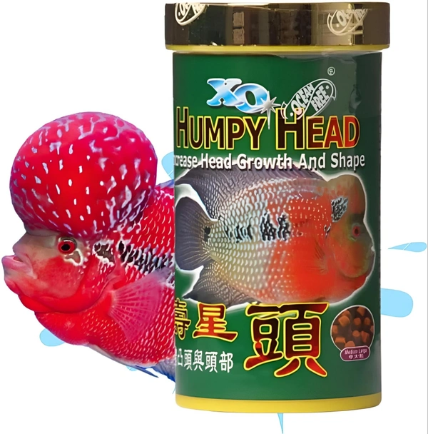 Ocean Free Humpy Head ( Original)100 Gm | Food For Flower Horn Fish | Increase Head Growth & Shape - 100 Gm