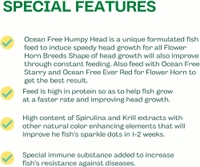 Ocean Free Humpy Head ( Original)100 Gm | Food For Flower Horn Fish | Increase Head Growth & Shape - 100 Gm