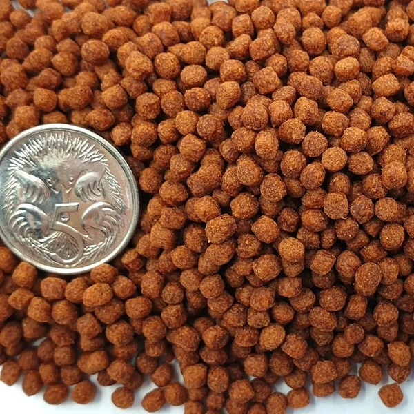 Ocean Free Humpy Head ( Original)100 Gm | Food For Flower Horn Fish | Increase Head Growth & Shape - 100 Gm