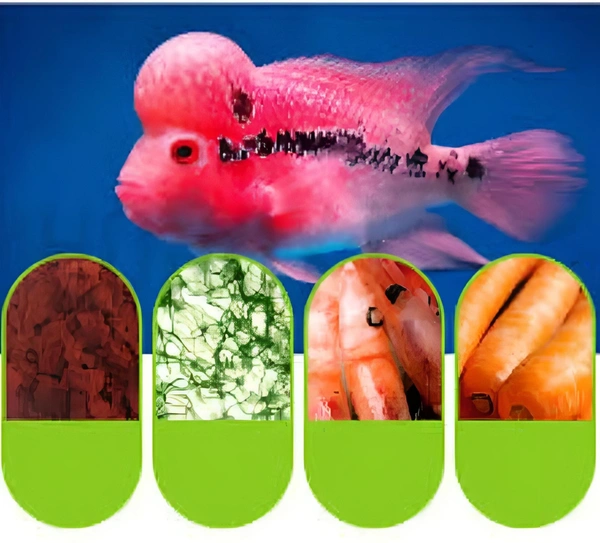 Ocean Free Humpy Head ( Original)100 Gm | Food For Flower Horn Fish | Increase Head Growth & Shape - 100 Gm